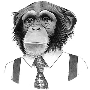 Chimpanzee in a suit